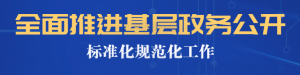 全面推進(jìn)基層政務(wù)公開(kāi)標(biāo)準(zhǔn)化規(guī)范化工作